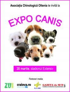 expo 20 martie 2010 oltenia 

te invita la

expo canis expo canis sambata, 20 martie 2010 -