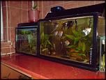 :d acvariu 100l