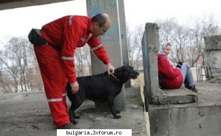 c�inii de salvare din craiova, să oamenii de sub �n liviu ionescu, centrului de educare craiova