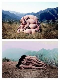 tare!!!!!! faza zilei 04.04.2010