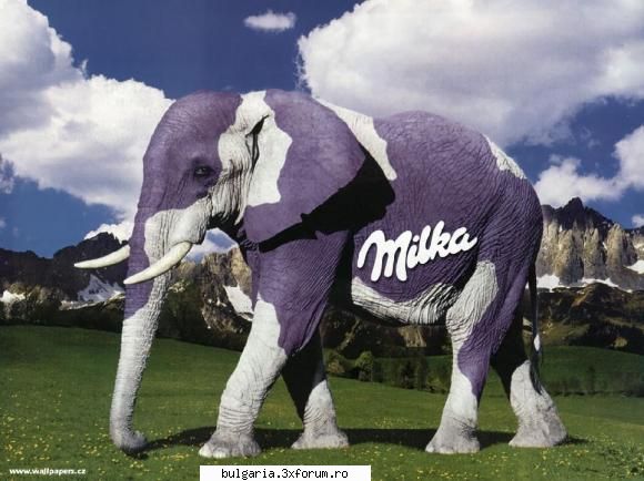 un elefant simpatic :)) faza zilei 30.03.2010