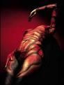Horoscop sexual SCORPION - Preferinte sexuale scorpion Temperamentalul - Horoscop