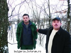 Pădurarul, şeful hoţilor de lemne - Caz incredibil �n Mehedinţi - Stiri de Actualitate