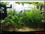 1. cu rosu): 3-4 fire/pot - 10 ron potul

am 7 poturi. pt cine le ia pe toate pretul este: 60