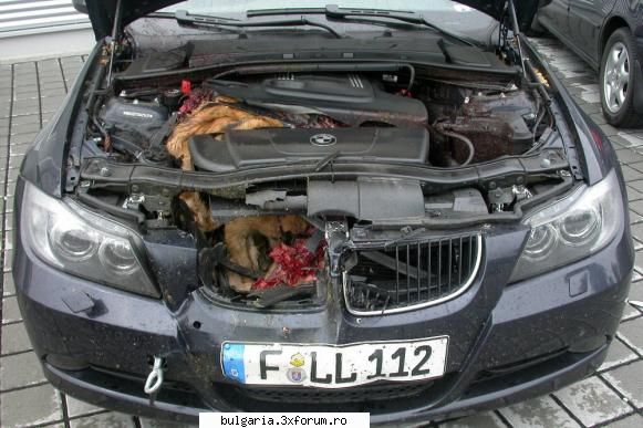 poze inedite cu masini si motoare - Poze inedite cu masinin si motoare am gasit ceva - Discutii Auto